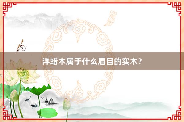 洋蜡木属于什么眉目的实木？