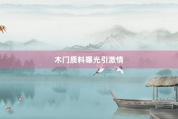 木门质料曝光引激情