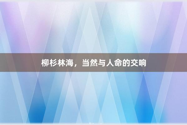 柳杉林海，当然与人命的交响