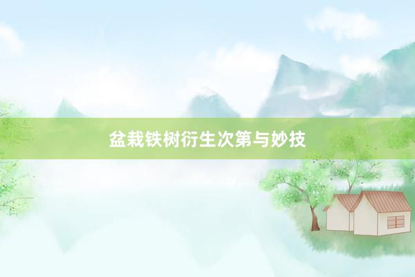 盆栽铁树衍生次第与妙技